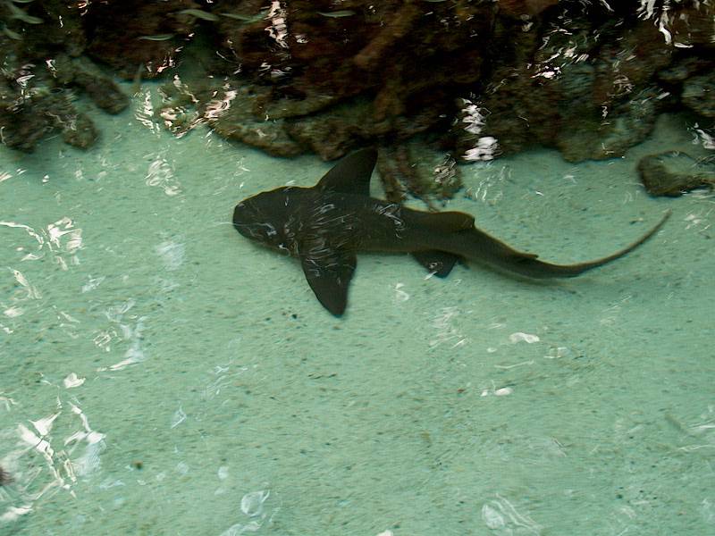 Cancun2002_18 