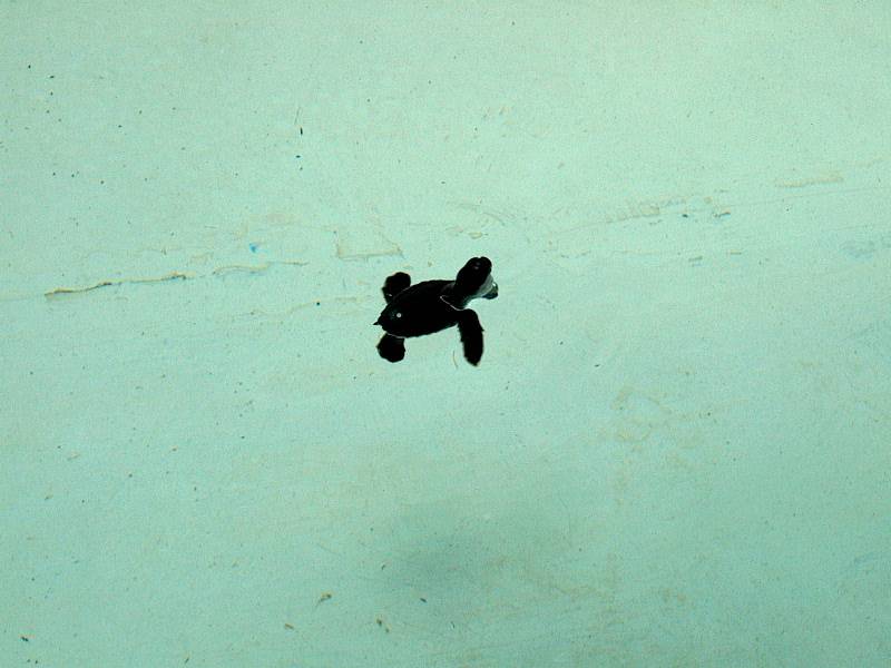Cancun2002_19 