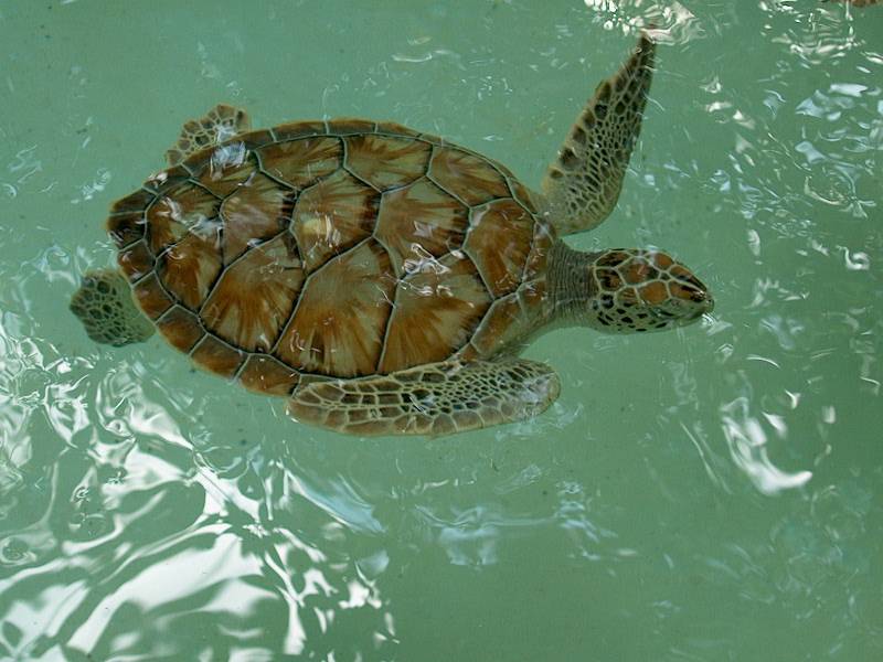 Cancun2002_20 