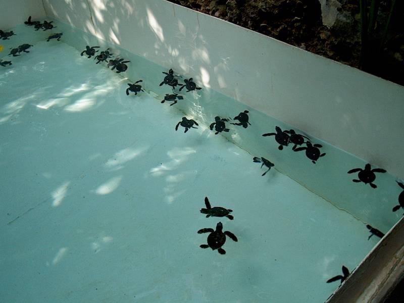 Cancun2002_21 