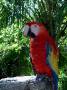 Cancun2002_10 