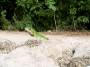 Cancun2002_17 