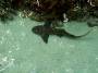 Cancun2002_18 