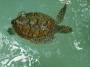 Cancun2002_20 