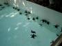 Cancun2002_21 
