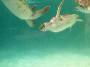 Cancun2002_22 