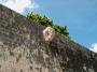 Cancun2002_52 