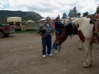 horse1 