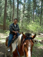 horse19 