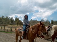 horse24 
