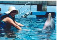 eileendolphin