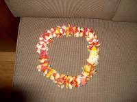 lei 